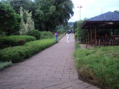 Japanese garden pathway