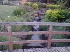 small bridge in Japanese garden