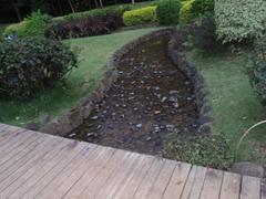 Japanese garden in Pune, India with traditional landscaping and stone pathways