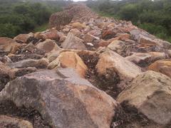 Long Outer Wall of Lal Kot and Rai Pithora from a high vantage point