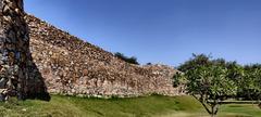 Outskirts of Qila Rai Pithora