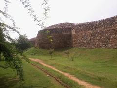 Bastion Wall of Lal Kot and Rai Pithora