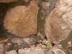 Big rocks of Outer Wall of Lal Kot and Rai Pithora