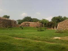 full cover outer wall of Lal Kot and Rai Pithora