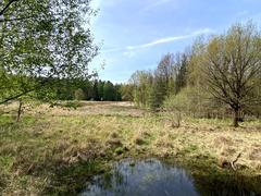 Heideweiher in der Ohligser Heide