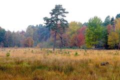 Scenic view along Klingenpfad hiking trail in Solingen, Germany