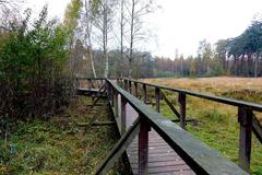 Trail in Solingen, Germany