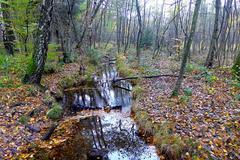 Klingenpfad trail in Solingen, Germany