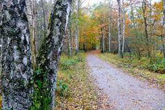 The Blade Trail eighth stage scenic view