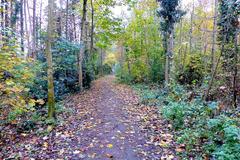 Klingenpfad hiking trail near Solingen, Germany, eighth stage