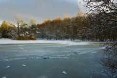 frozen Drei-Insel-Teich in Ohligser Heide nature reserve