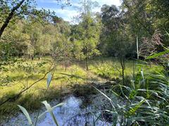 Ohligser Heide landscape in Solingen