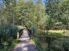 Ohligser Heide nature reserve in Solingen