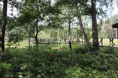 Aussichtsplattform im Naturschutzgebiet Ohligser Heide during drought