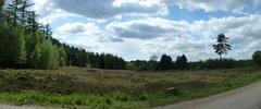 A picturesque panoramic view of Ohligser Heide nature reserve