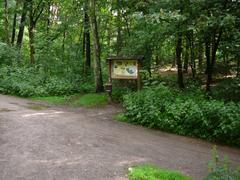 Ohligser Heide landscape in Solingen