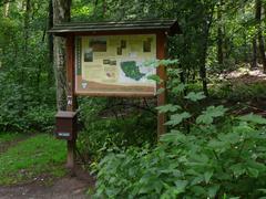 Ohligser Heide nature reserve in Solingen