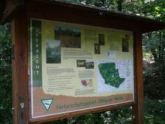 Ohligser Heide landscape in Solingen