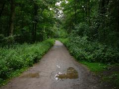 Ohligser Heide landscape in Solingen