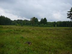 Ohligser Heide landscape in Solingen