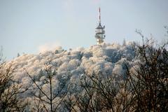 Fremersberg in Baden-Baden covered in snow