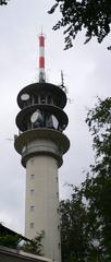 Fremersbergturm in Summer up close