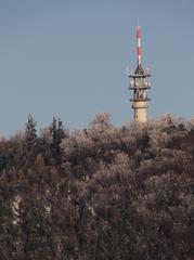 Fremersberg Tower on Fremersberg mountain in Baden-Baden