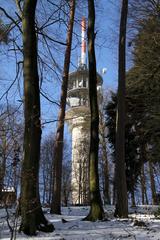 Fremersberg Tower in Baden-Baden