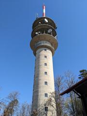 Fremersbergturm tower in Baden-Baden on a clear day