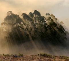 Back-scattering crepuscular rays in the sky during sunset