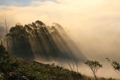 Rare back-scattering crepuscular rays at oblique geometry