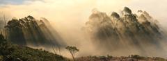 Back-scattering crepuscular rays panorama