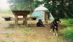 Bicentennial Campground overlooking San Francisco Bay in Golden Gate National Recreation Area