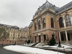 Karlovy Vary from an elevated viewpoint on a wintry day