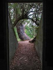 concrete military structure at Muir Beach Overlook