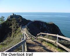 View from the top of Muir Beach Overlook