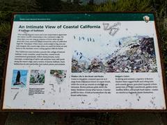 Plaque describing California coast at Muir Beach Overlook