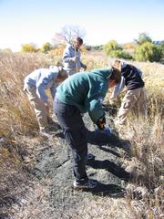 Americorps members working on a trail