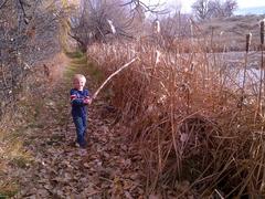 children exploring nature in a forest