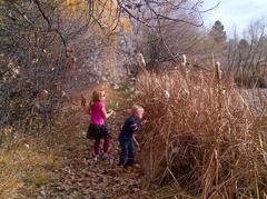 children exploring nature with backpacks beside a lake