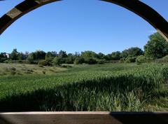 Eagle Scout overlooking scenery from gazebo