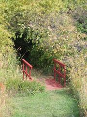 Bridge over a river surrounded by autumn foliage