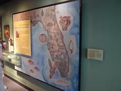 Florida's First People display at Tampa Bay History Center