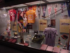 Tampa Bay sports franchise display at Tampa Bay History Center