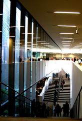 Stairway at the de Young Museum