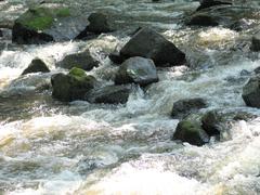 closeup view of Crabtree Creek Company Mill Trail in Umstead State Park, North Carolina