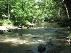 Crabtree Creek Company Mill Trail in Umstead State Park