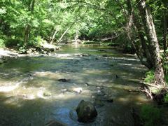 Crabtree Creek Company Mill Trail in Umstead State Park, North Carolina