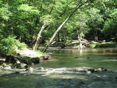 Crabtree Creek Company Mill Trail in Umstead State Park, North Carolina