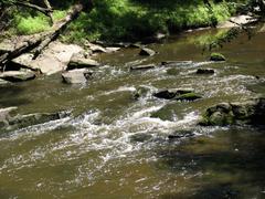 Crabtree Creek Company Mill Trail in Umstead State Park, North Carolina